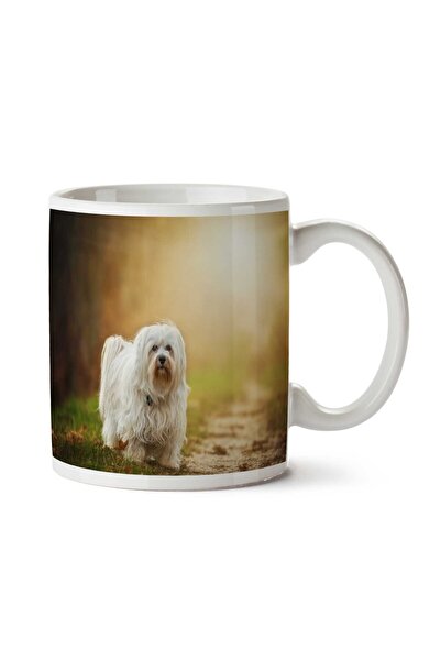 ART HEDİYE كوب مطبوع على الجانبين من Morning Sun Puppy Dog