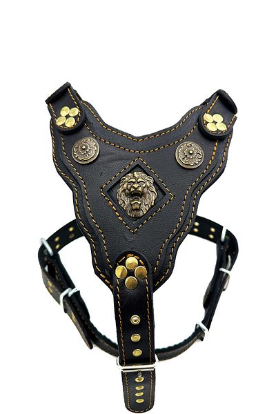 Tasma Market Special Design Leather Dog Chest Collar with Black Lion Head