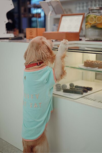 Lorico Köpek Kıyafeti - Köpek Tişört (%100 PAMUK)