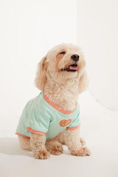 Lorico Dog Apparel - Dog T-Shirt (100% COTTON)