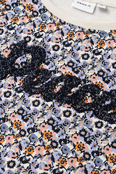 Name it Nkftınıba Ls Swe Bru Ps