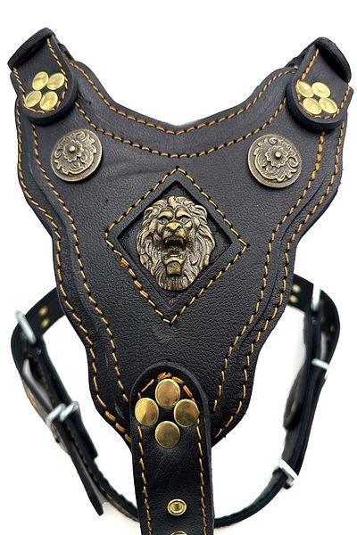 Tasma Market Special Design Leather Dog Chest Collar with Black Lion Head