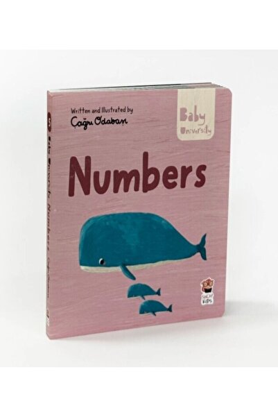 Sincap Kitap Numbers - Baby University First Concepts Stories 2