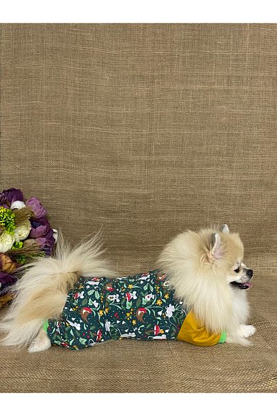 Pawstar Mice Cat Dog Pajamas Cat Dog Jumpsuit Cat Dog Outfit