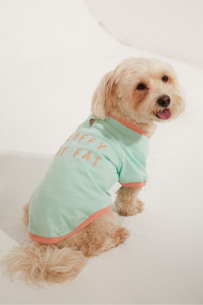 Lorico Dog Apparel - Dog T-Shirt (100% COTTON)