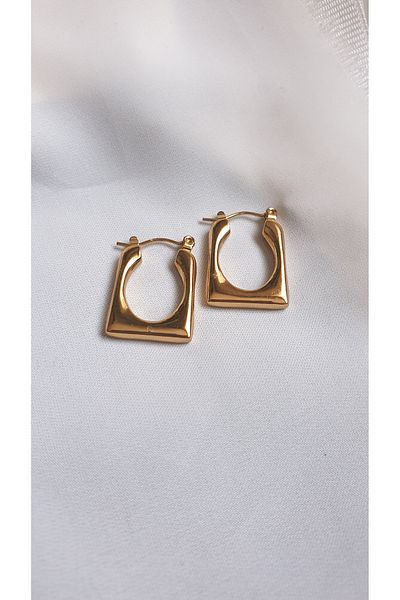 SelinDiamond Steel Earrings