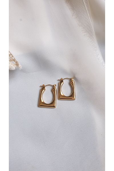 SelinDiamond Steel Earrings