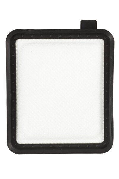 Pro Fresh & Clean Arnica Pika - Filtru Hepa compatibil pentru admisie