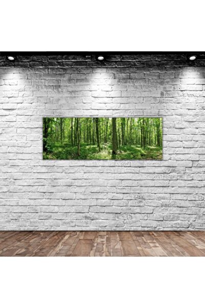 Bk Gift Home Orman Manzaralı Panorama Kanvas Tablo 100x35cm-1