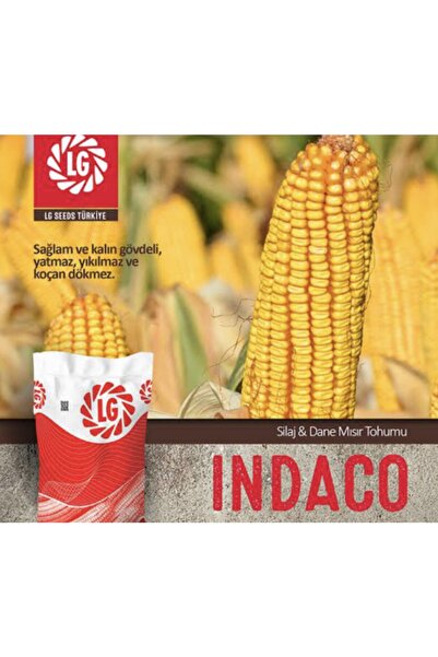 Indaco Mısır Tohumu