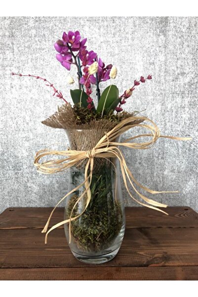 yarenberkçiçekçilik Cam Vazoda Mini Mor Orkide Çiçeği