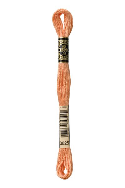 Dmc Muline Yarn 3825
