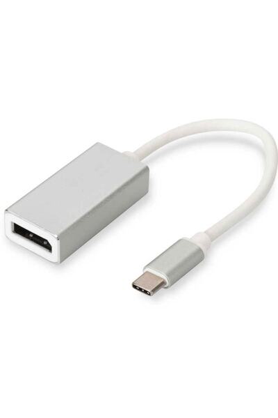 Coverzone Display Port Alüminyum Kasa Dönüştürücü Usb 3.1 Type-c