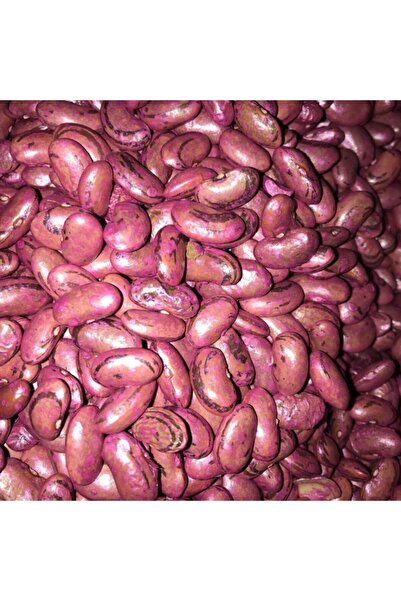 Karahasanoğlu Tarım Perolar Uzun-enli Erkenci Fasulye Tohumu 500 Gr (ilaçlı)