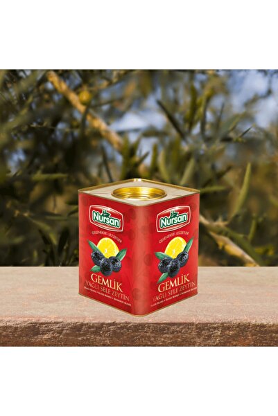 Süper 2 Zeytin 4 Kg