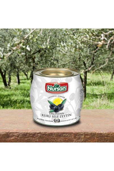 Nursan Gıda Dalından Iri Kuru Sele Zeytin 2 kg