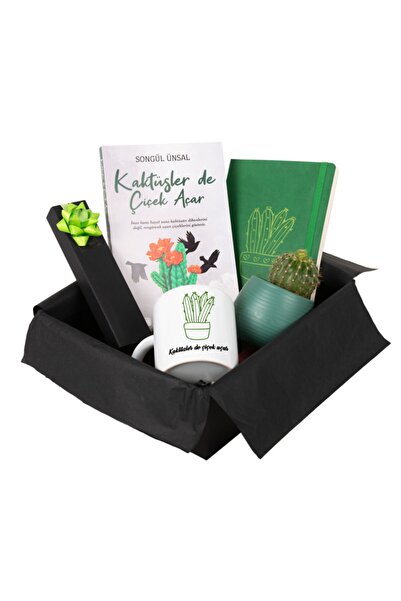 Kitaplı Hediye Kişiye Özel Kupa Ajanda Kalem Kaktüs Ve Kaktüsler De Çiçek Aça...