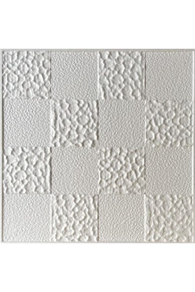 HASYILDIZ Strafor Dekoratif Tavan Kaplama D8 -6m2- 24 Adet Kare Panel
