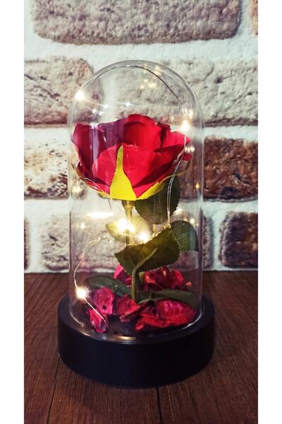 Genel Markalar Dekoratif Sevgiliye Hediye Led Işıklı Şeffaf Mika Fanusta Işık...