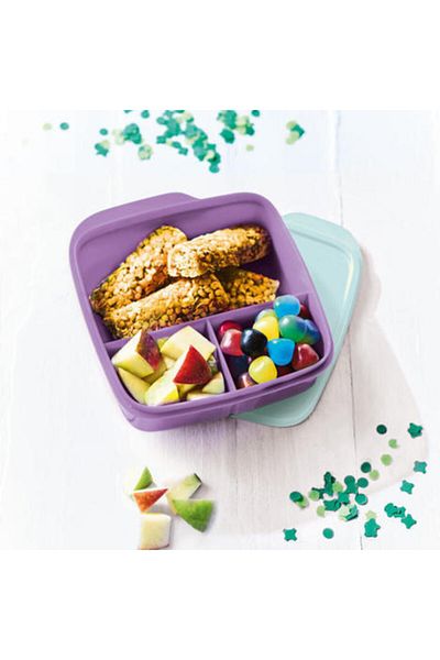 Tupperware Compartmented Nutrition