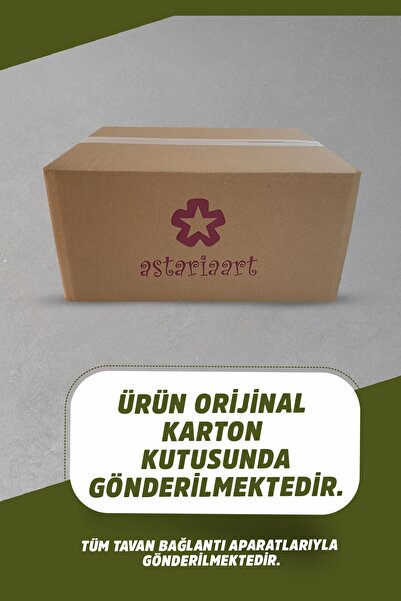 Astariaart Yeşil Kaktüs Dream Swing