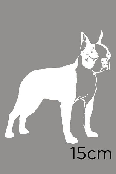 MIGNATIS Autocolant Boston Terrier Etichetă de pastă 15cm - Alb