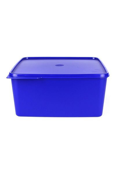 Tupperware Colorful Rectangular Cup 5lt