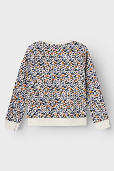 Name it Nkftınıba Ls Swe Bru Ps