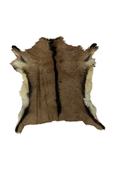 Lndr NATUREL DOĞAL RENKLİ OĞLAK POSTU - DOĞAL DESENLİ DEKORATİF OĞLAK POSTU