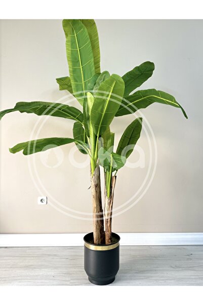 odka Yapay Bitki Geniş Yapraklı Muz Ağacı 210cm Metal Saksılı Antrasit Gold