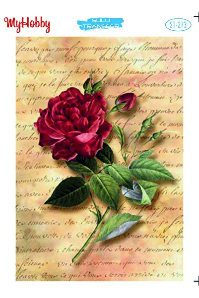 Ümraniye Hobi Sanat نقل مائي 25*35 سم Stb-273