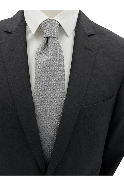 Brianze Gray Black Patterned Tie