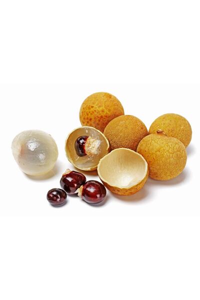 YavuzTropikalFidan Longan (ejderha Gözü) Fidanı 3 Yaş 35 Cm