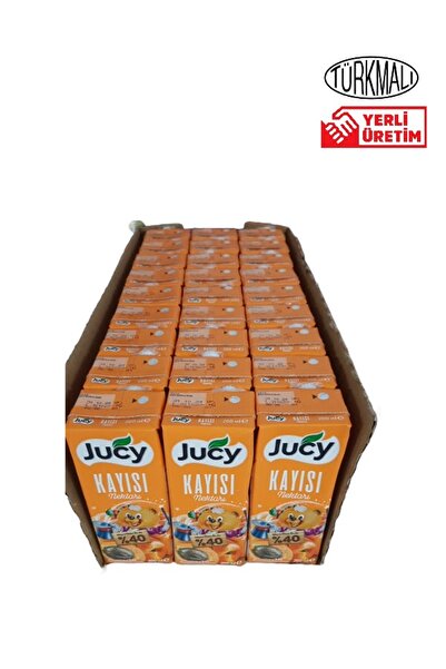 JUCY MEYVE SUYU JUCY 200 ML 1 KOLİ 27 ADET KAYISI NEKTARI
