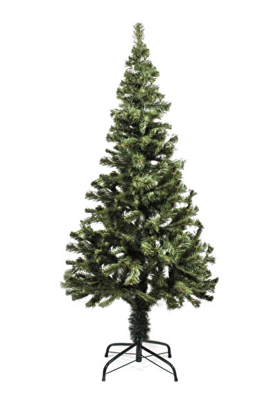 YılBaşı Çam Ağacı 60 Cm 1. kalite kabarık dal çam ağacı noal Ağaç