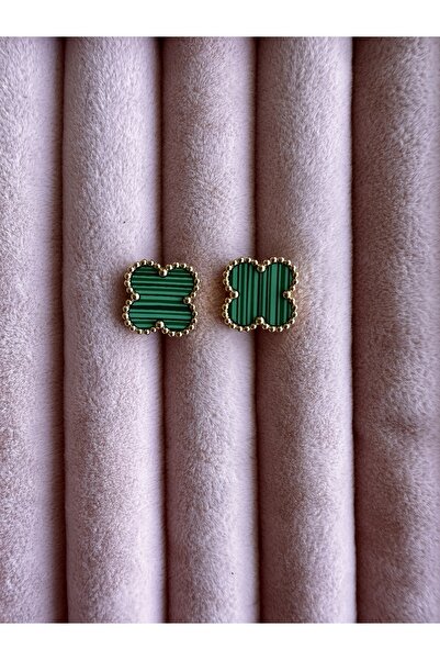 Glare Green Clover   Model Steel Earrings