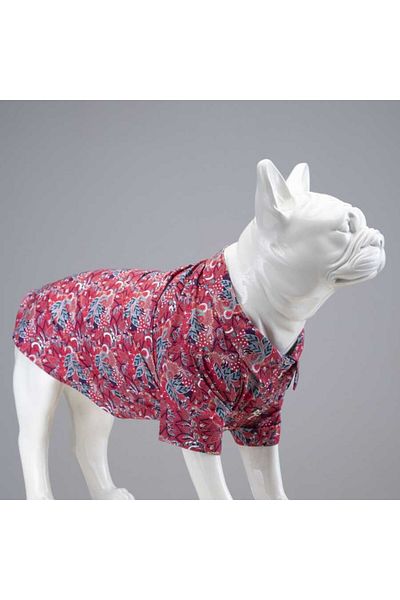 Lindodogs Marrakech Dog Shirt