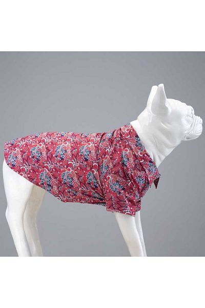 Lindodogs Marrakech Dog Shirt