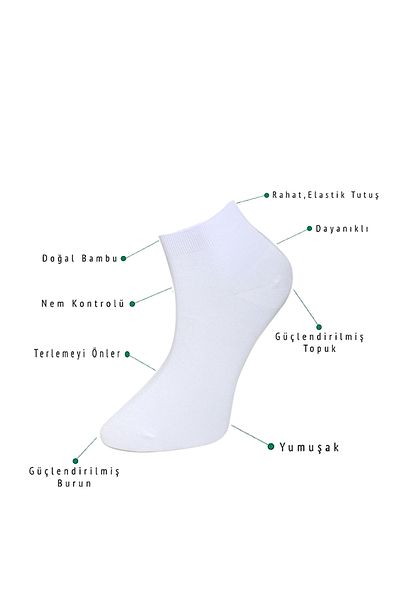javi Bamboo Men's Booties White Seamless Premium Boxed 6 Pieces JV3005