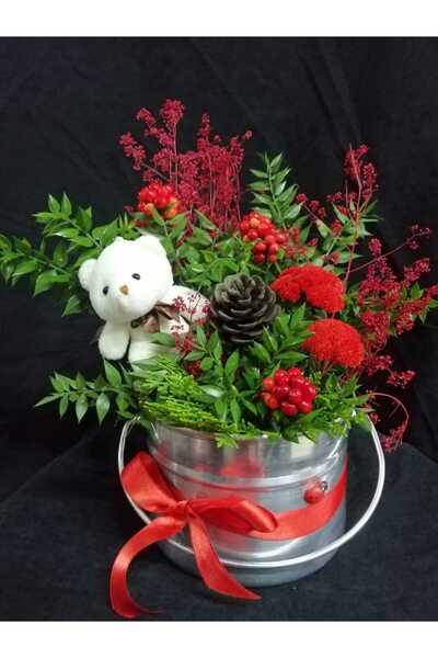 ÇiçekliTasarımlar Bakraç Saksıda Yılbaşı Çiçeği (kokuna) Peluş Ayıcık Hediyeli