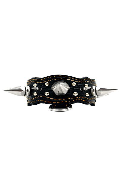 Tasma Market Black-Silver Special Design Luxury Gladiator Dog Collar