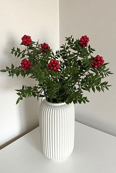 Garden Online Kokina Canlı Yılbaşı Çiçeği - Şans Bitkisi 1 Demet 40 - 50 cm