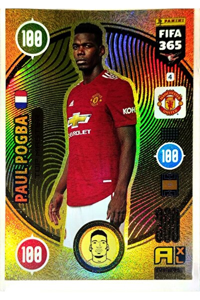 Panini بول بوغا توب ماستر