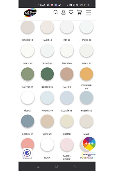 Fawori FAWORİ SİLİKONLU İPEK BOYA 2,5 LT YIKANABİLİR VE SİLİNEBİLİR