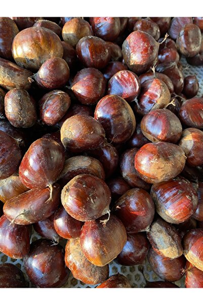 Egeden Sofraya Aydın Şekerci Cins Kestane 500 gr