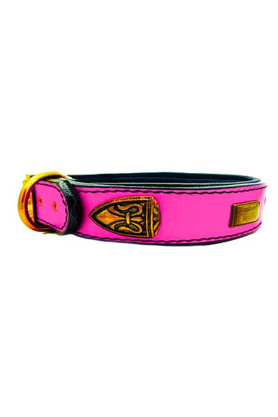 Tasma Market Special Design Cane Corso, Doberman Dog Collar