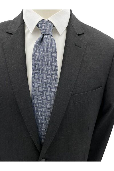 Brianze Gray Patterned Tie