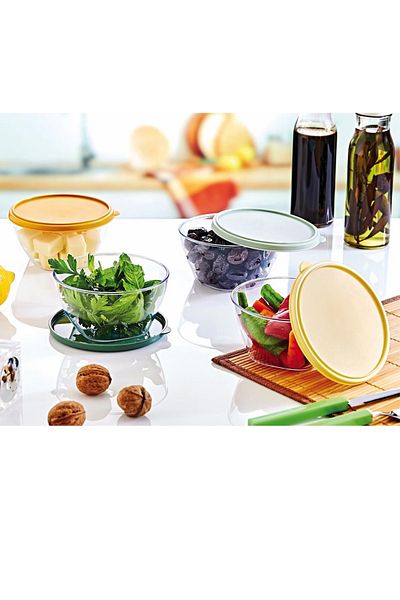 RNL04 Smart Plastic Set of 4 with Lid - 2384