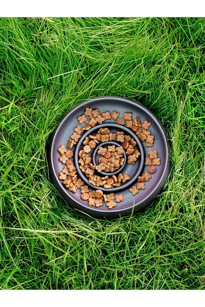 Beige & Stone Slow Eat Slow Eating Ceramic Food Bowl l Black