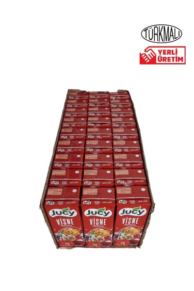 JUCY MEYVE SUYU JUCY 200 ML 1 KOLİ 27 ADET VİŞNE NEKTARI